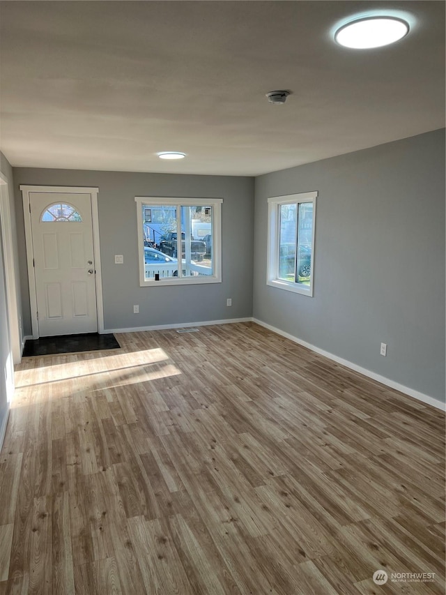 entrance foyer featuring wood-type flooring