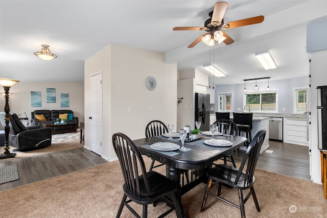 dining space with ceiling fan, vaulted ceiling, and dark colored carpet