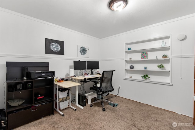 office area featuring crown molding and carpet floors