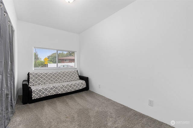 living area with carpet flooring