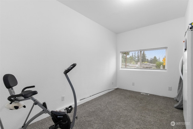 workout area with carpet