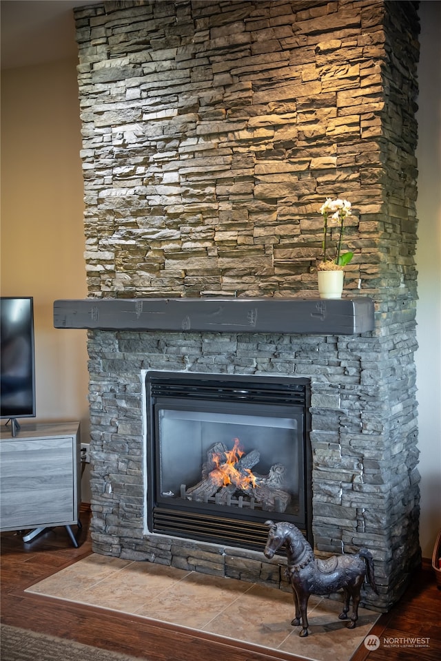 room details with wood-type flooring and a fireplace