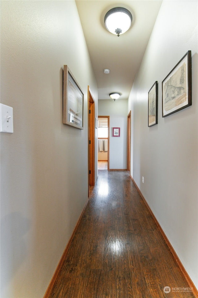 hall featuring dark hardwood / wood-style floors