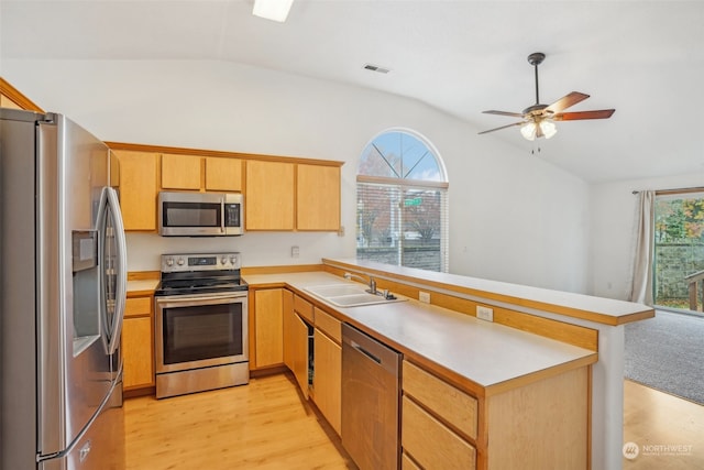 kitchen with plenty of natural light, sink, stainless steel appliances, and vaulted ceiling