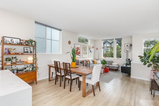 dining area with light hardwood / wood-style flooring