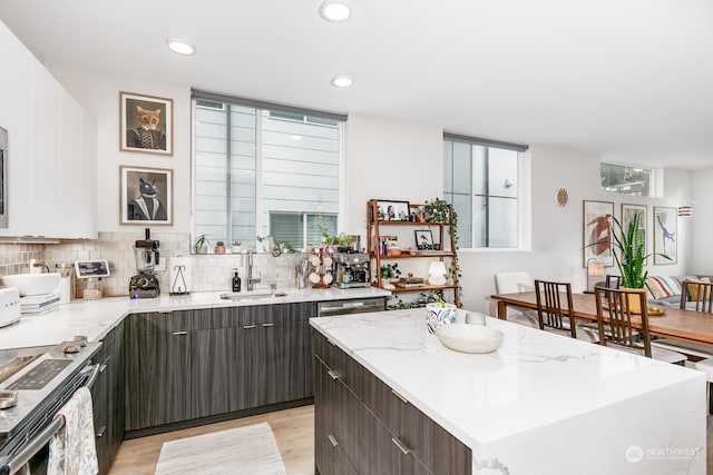 kitchen with white cabinetry, light wood-type flooring, dark brown cabinets, a center island, and sink