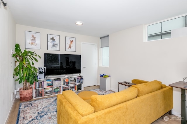 living room with light hardwood / wood-style floors