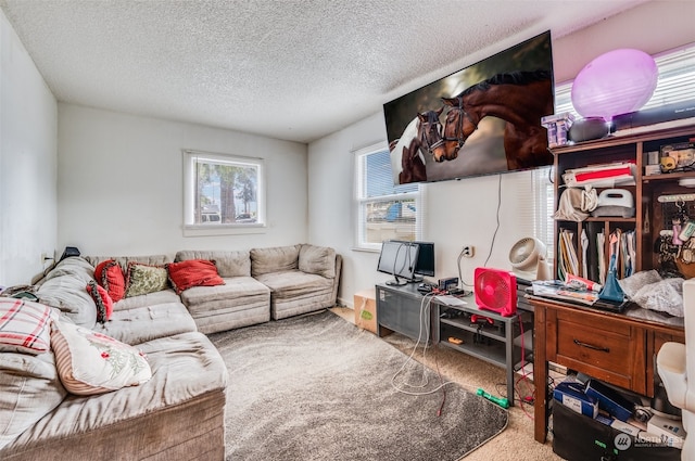 living room with carpet and a textured ceiling