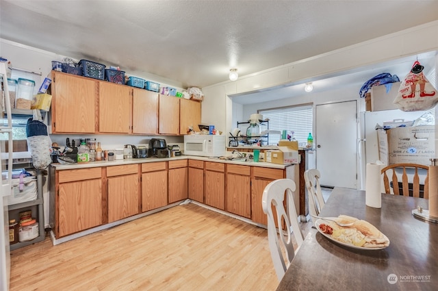 kitchen with light hardwood / wood-style flooring, white appliances, and a wealth of natural light