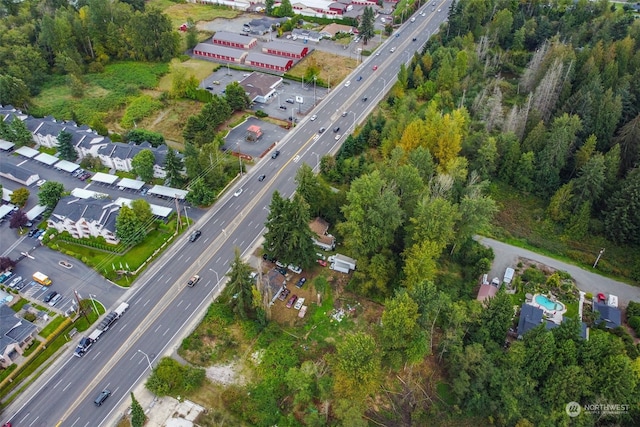 bird's eye view