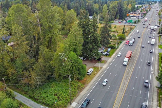 aerial view