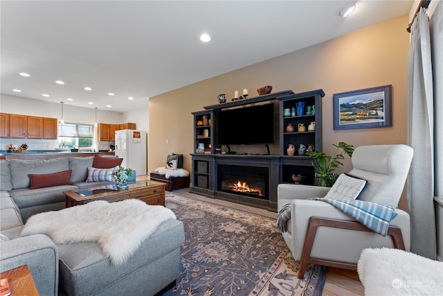 living room featuring wood-type flooring