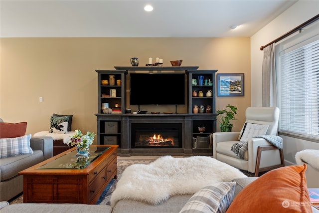 living room with plenty of natural light