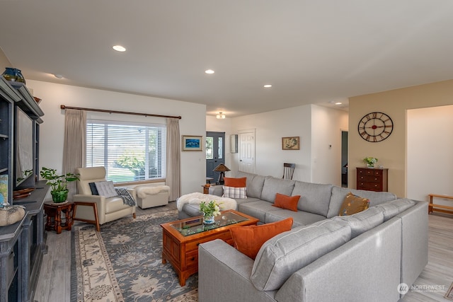 living room featuring hardwood / wood-style flooring