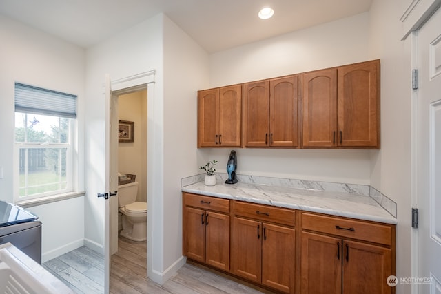 interior space featuring wood-type flooring, vanity, and toilet