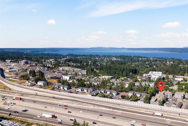 bird's eye view with a water view