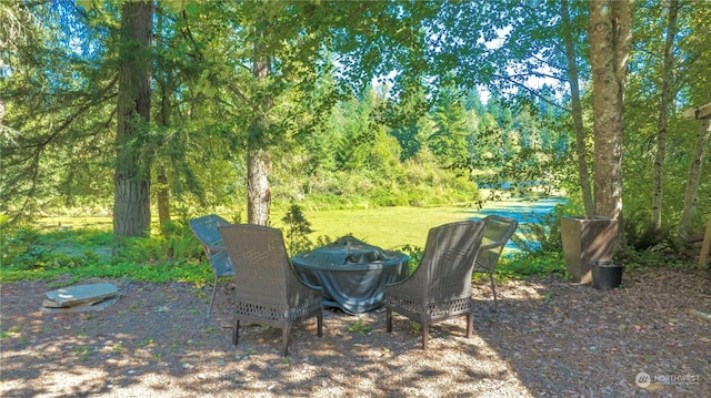 23609 W Lake Kayak Dr, Monroe, WA 98272 - photo 31