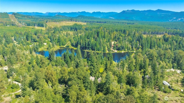 23609 W Lake Kayak Dr, Monroe, WA 98272 - photo 36