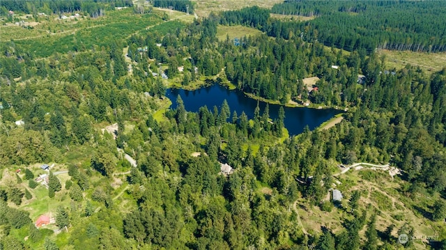 23609 W Lake Kayak Dr, Monroe, WA 98272 - photo 38