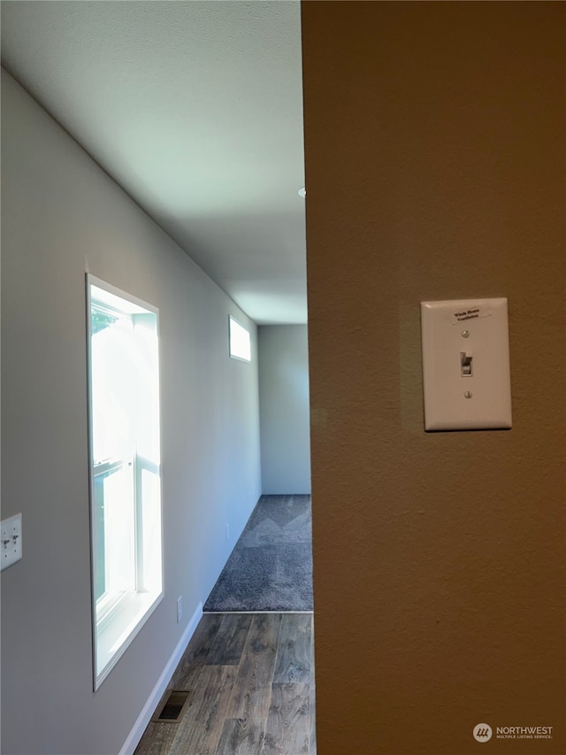 corridor featuring a healthy amount of sunlight and hardwood / wood-style floors