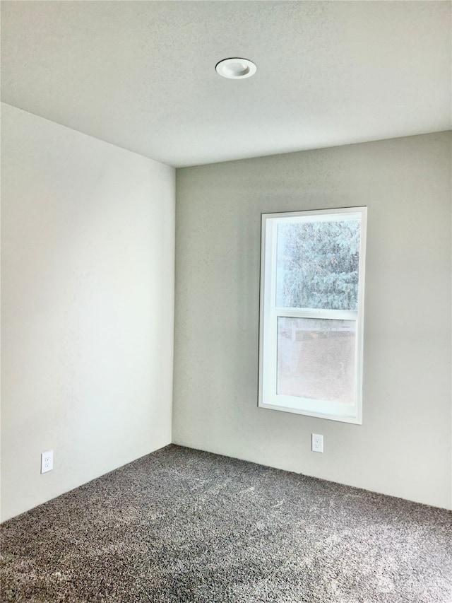 empty room featuring a textured ceiling and carpet flooring