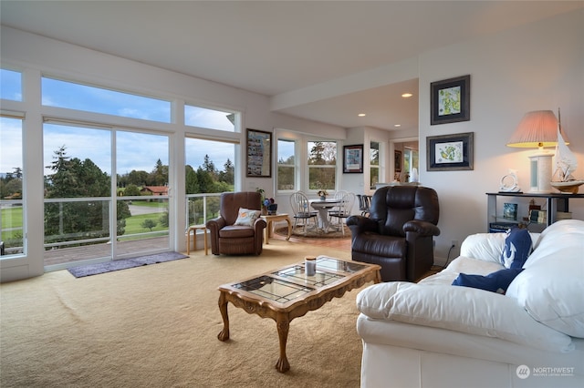 living room with carpet flooring