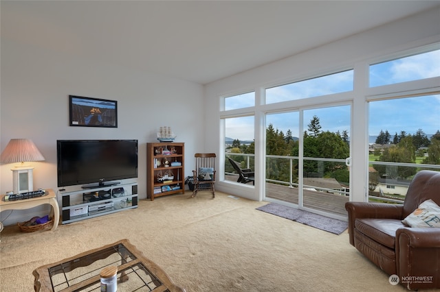 living room featuring carpet floors