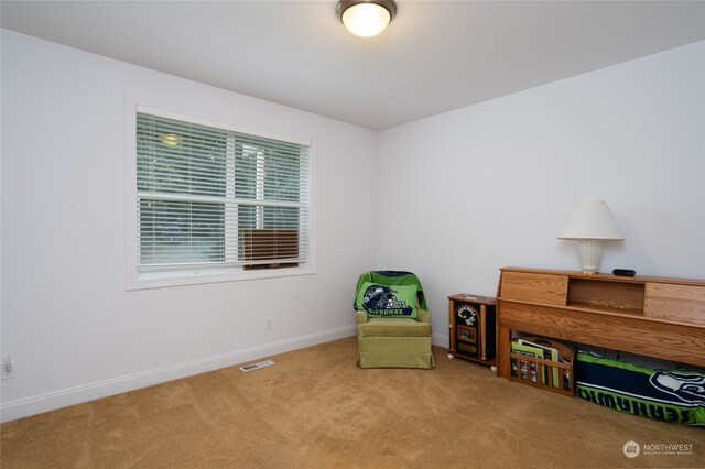 sitting room with carpet floors