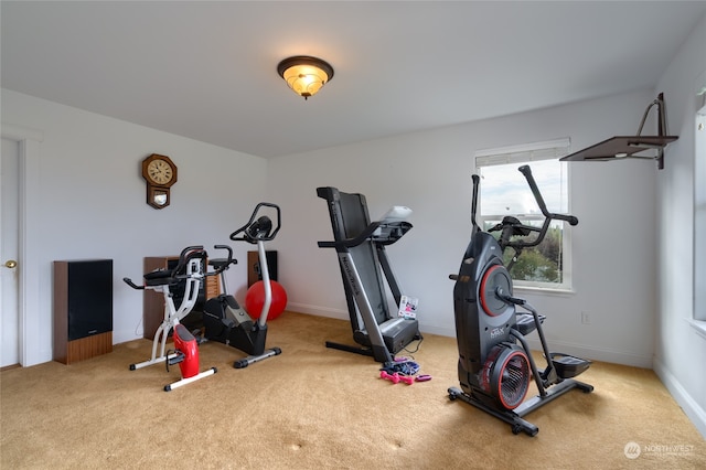 workout room with carpet