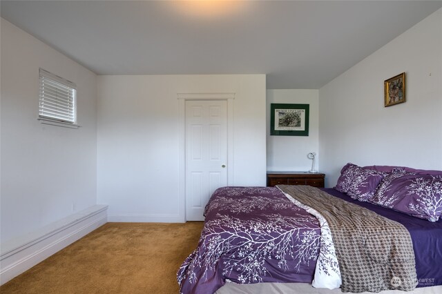 carpeted bedroom featuring a closet