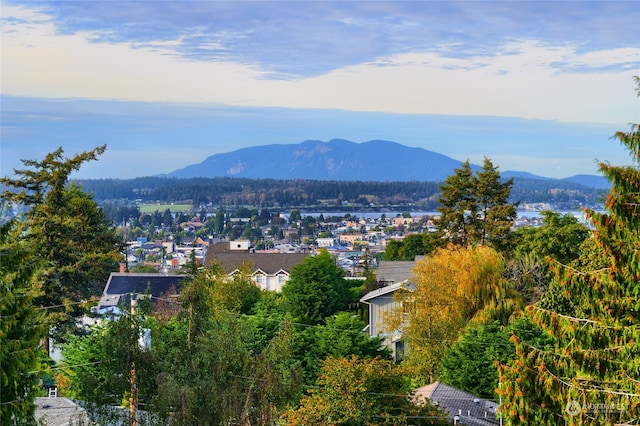 view of mountain feature