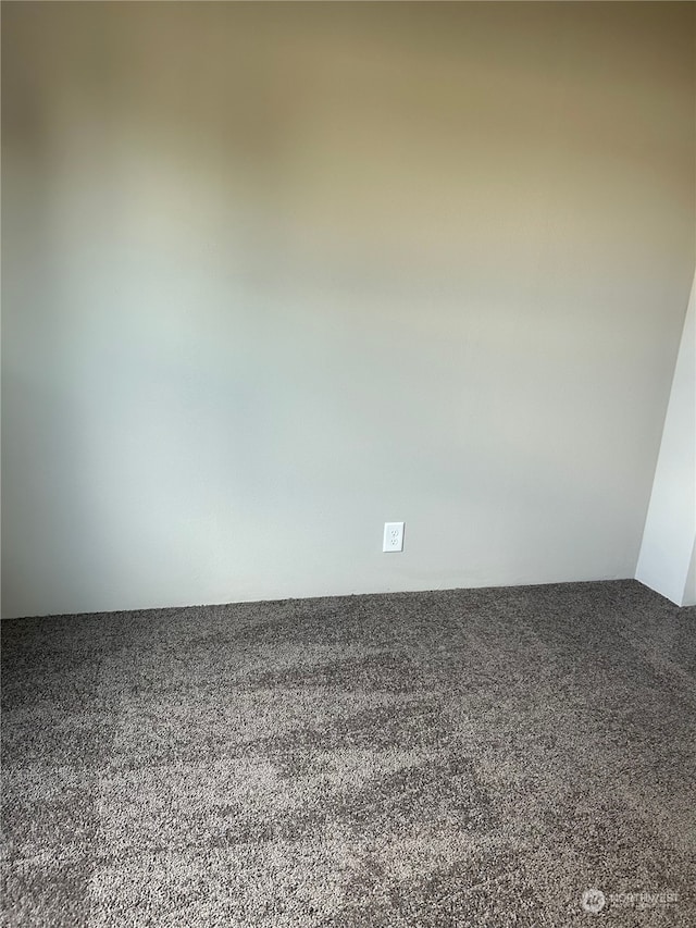 2015 6th Ave Unit 109, Clarkston, WA 99403 - empty room with carpet flooring