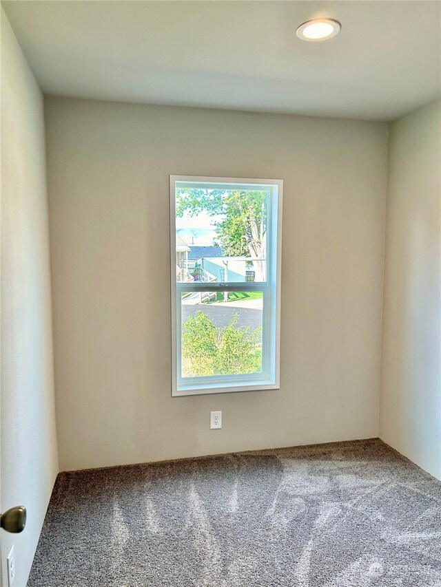 2015 6th Ave Unit 109, Clarkston, WA 99403 - unfurnished room featuring carpet