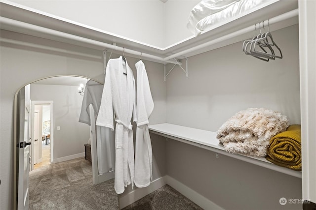 131 Sonoma Pl, Walla Walla, WA 99362 - spacious closet featuring arched walkways and carpet