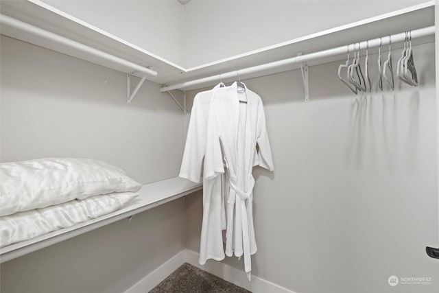 131 Sonoma Pl, Walla Walla, WA 99362 - view of walk in closet