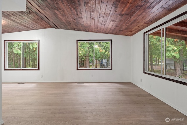 unfurnished room with wood ceiling, wood-type flooring, and plenty of natural light