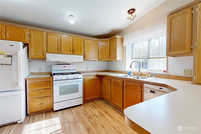 kitchen with sink, white appliances, and light wood-type flooring