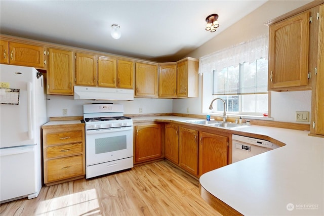1370 Samuel Dr, Walla Walla, WA 99362 - kitchen with white appliances, under cabinet range hood, a sink, light countertops, and light wood-type flooring