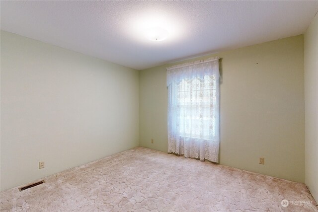 empty room featuring light carpet and a textured ceiling