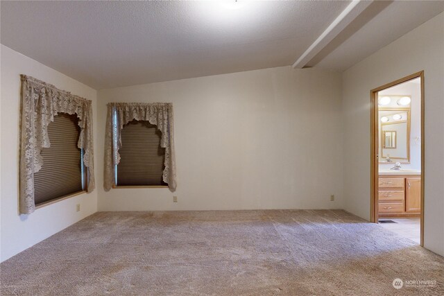 spare room with sink, light colored carpet, and a textured ceiling