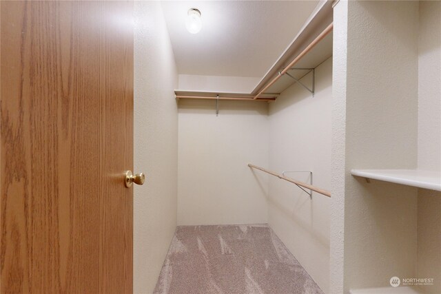 walk in closet with light colored carpet