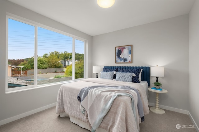 bedroom with carpet floors