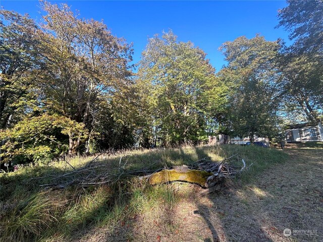 809 W Herron Blvd NW, Lakebay, WA 98349 - photo 22