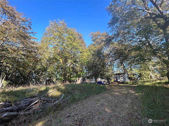 809 W Herron Blvd NW, Lakebay, WA 98349 - photo 26