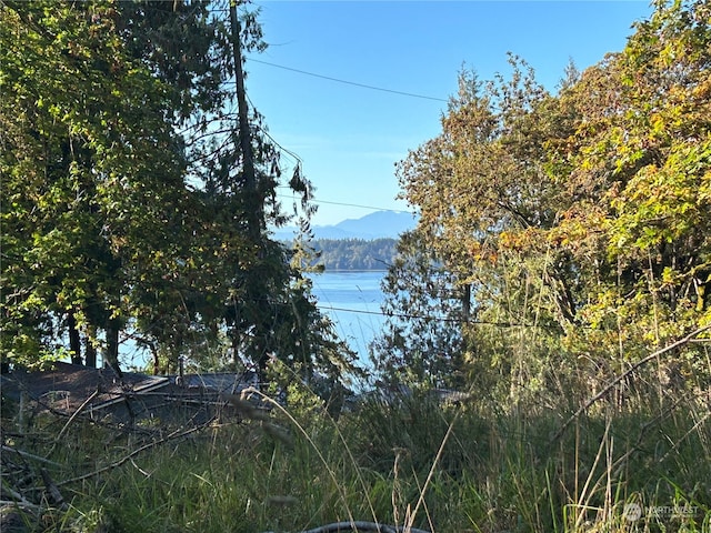 809 W Herron Blvd NW, Lakebay WA, 98349 land for sale