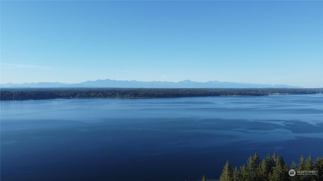 809 W Herron Blvd NW, Lakebay, WA 98349 - photo 40