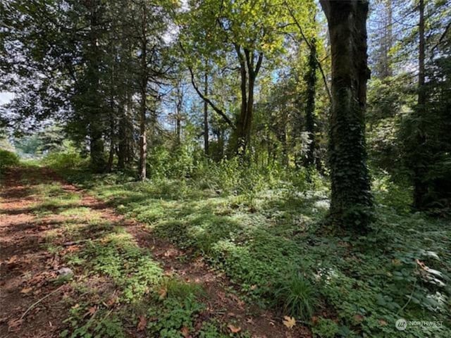 10516 62nd Ave E, Puyallup WA, 98373 land for sale