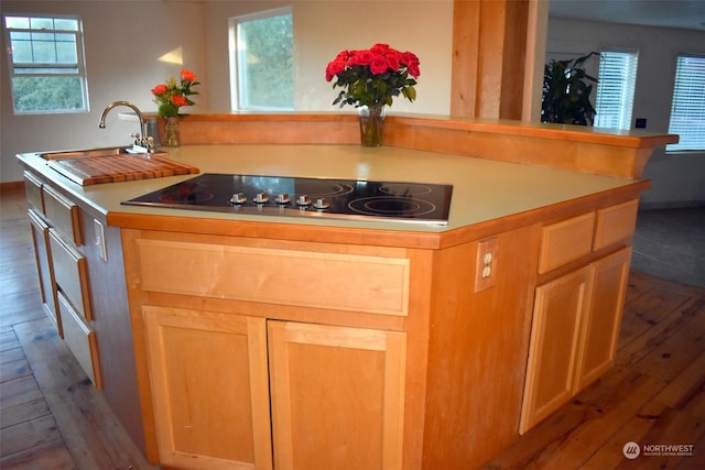 kitchen featuring black electric stovetop, a kitchen island with sink, sink, and light wood-type flooring