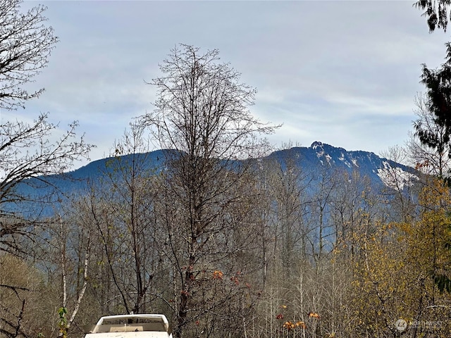 view of mountain feature