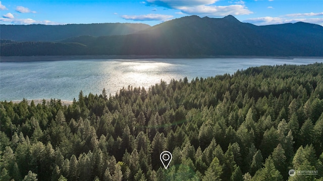 property view of water featuring a mountain view